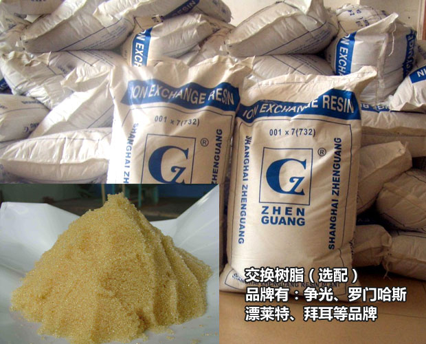 阳离子交换器 阳离子交换器